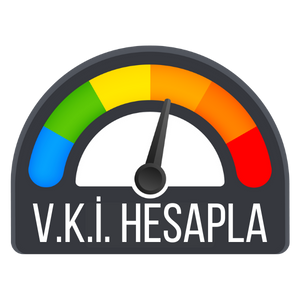 VKİ Hesapla
